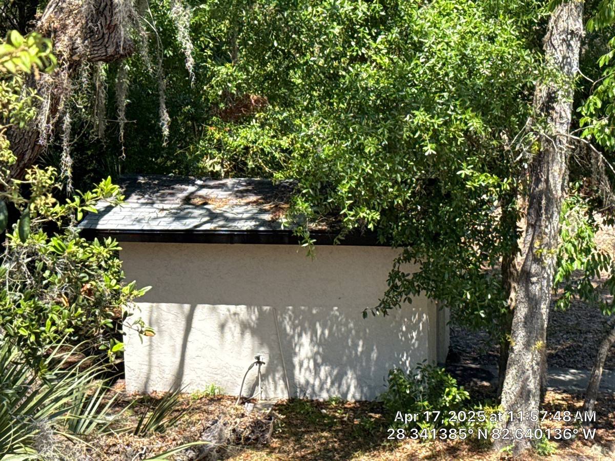 shingle roof replacement in Hudson, Florida