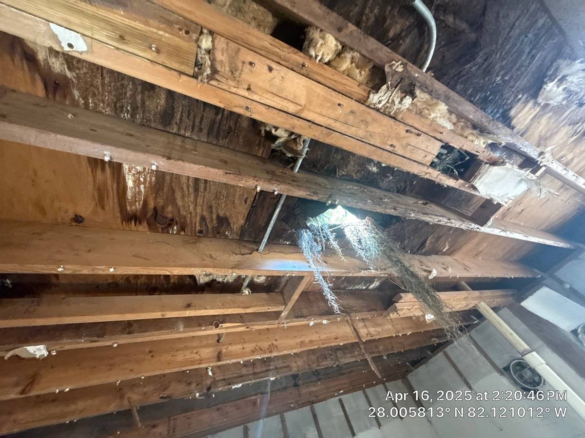 metal roof replacement in Plant City, Florida