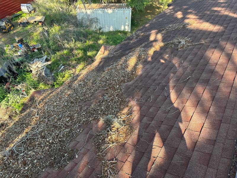 roofing project near Mondon Hill Rd in Brooksville