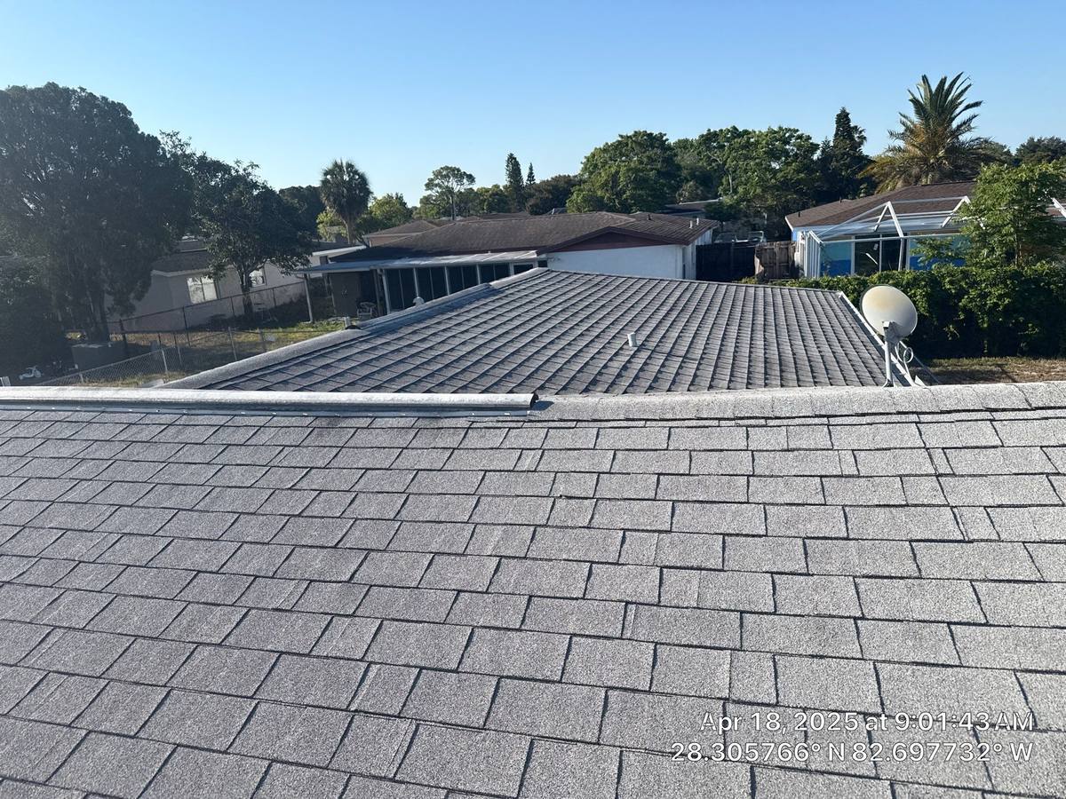 shingle roof replacement in Port Richey, Florida