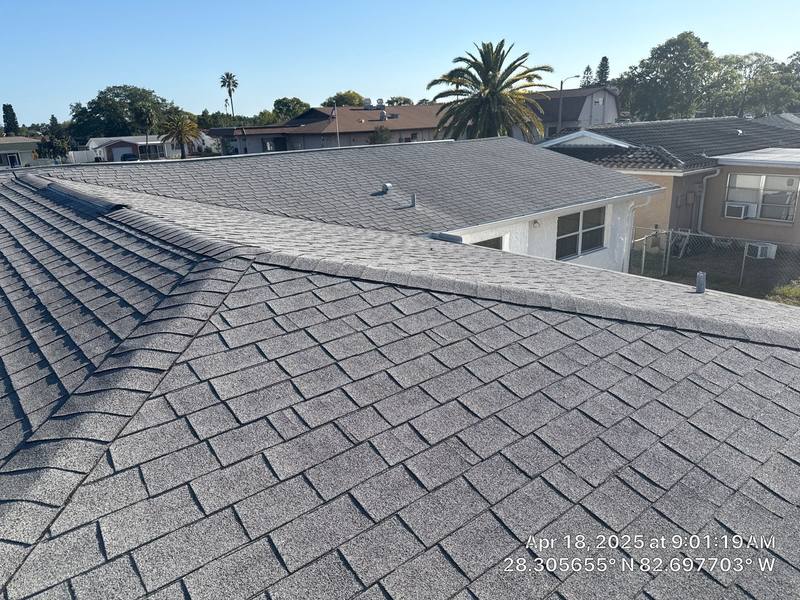 shingle roof replacement in Port Richey, Florida