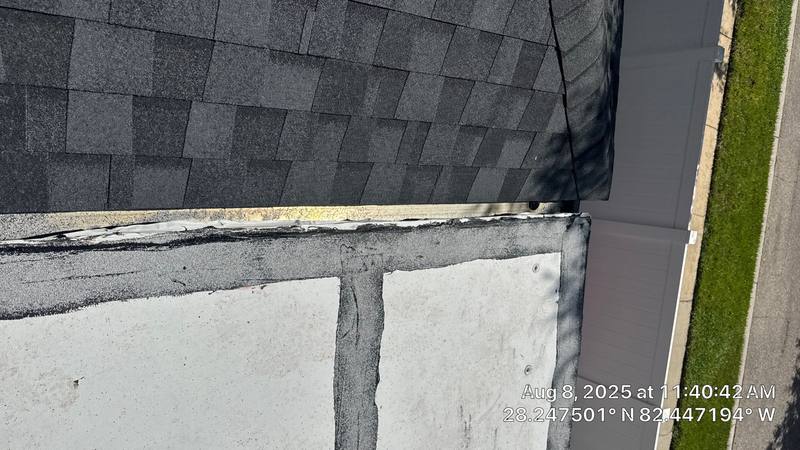 shingle roof replacement in Land O' Lakes, Florida
