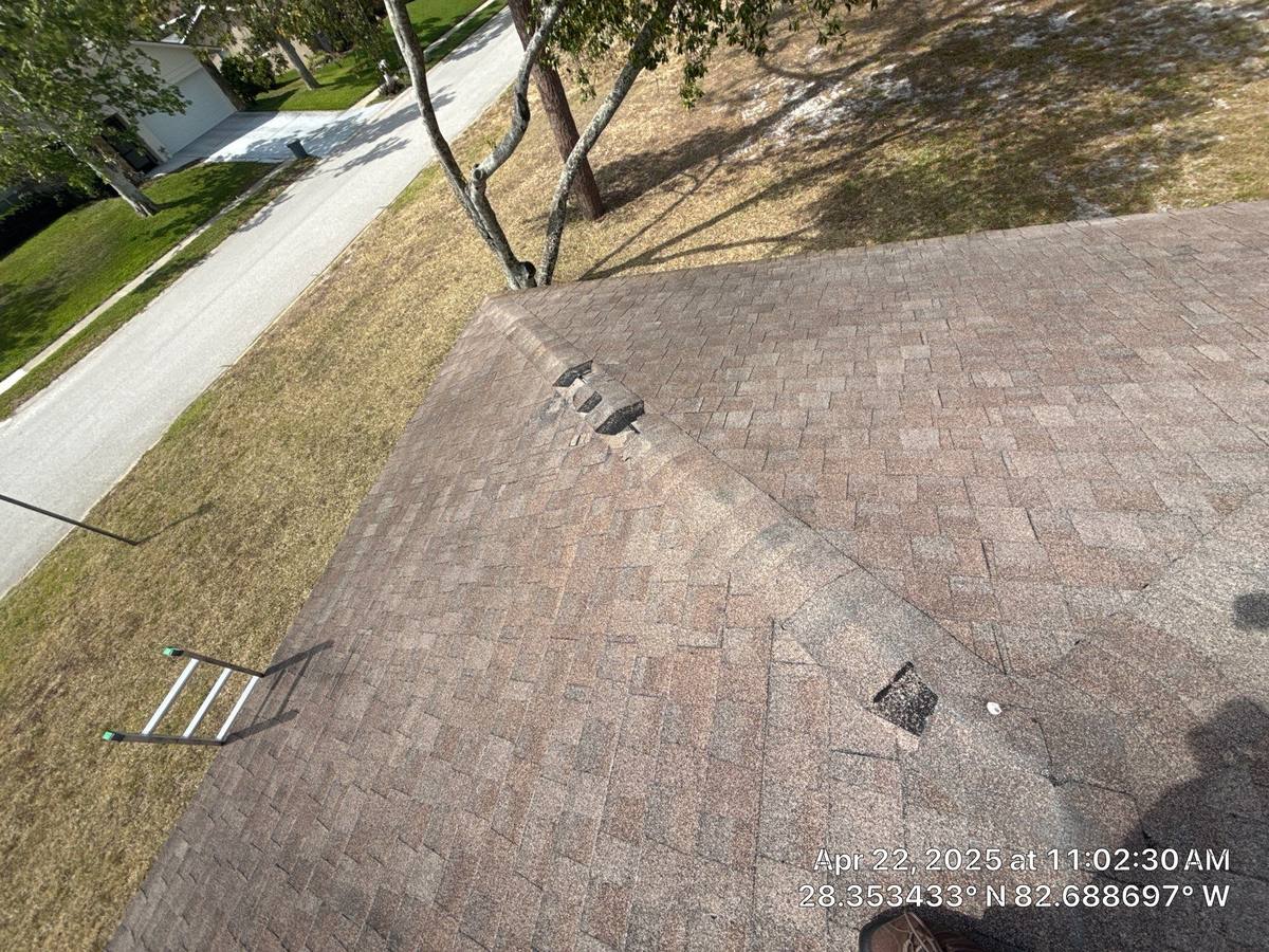 shingle roof replacement in Hudson, Florida
