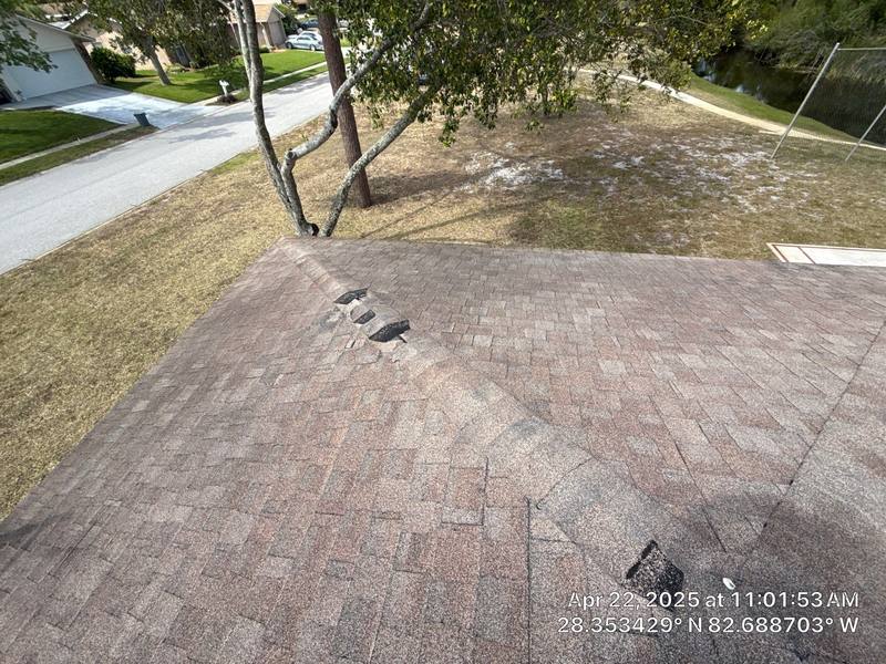 shingle roof replacement in Hudson, Florida