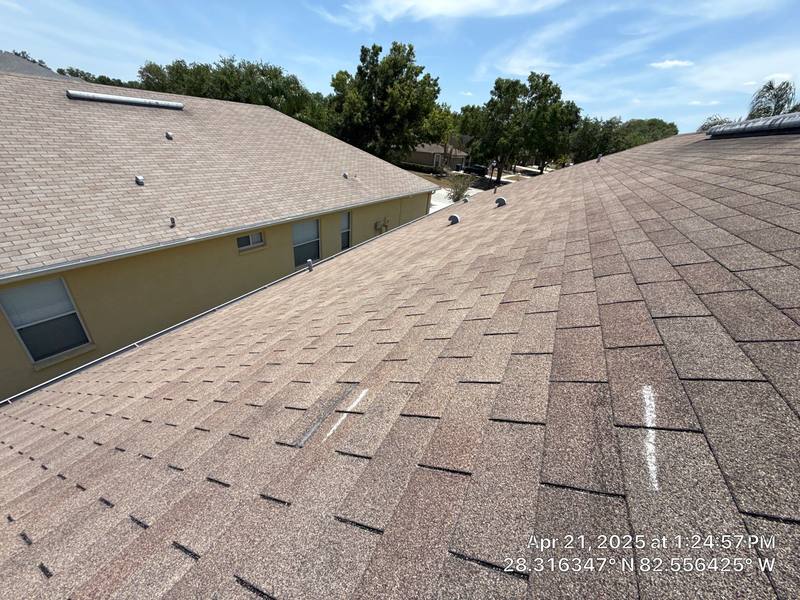 completed roofing project in Land O' Lakes FL