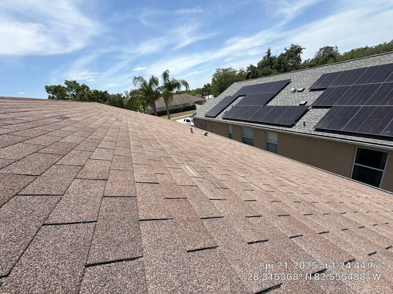 completed roofing project in Land O' Lakes FL