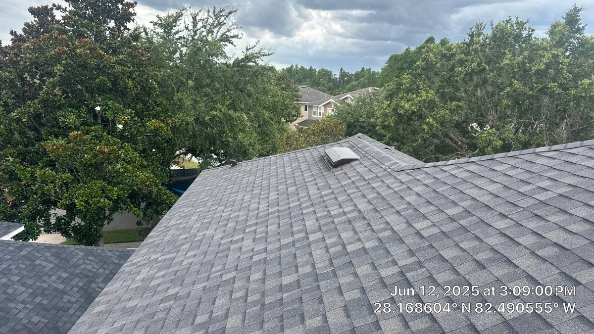 shingle roof replacement in Lutz, Florida