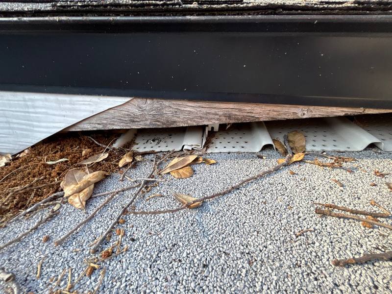 roof repair in Tampa, Florida