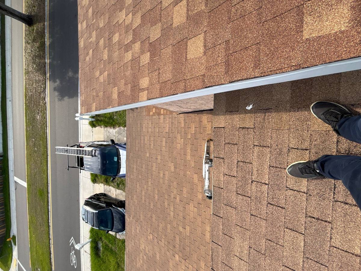 shingle roof replacement in Oldsmar, Florida