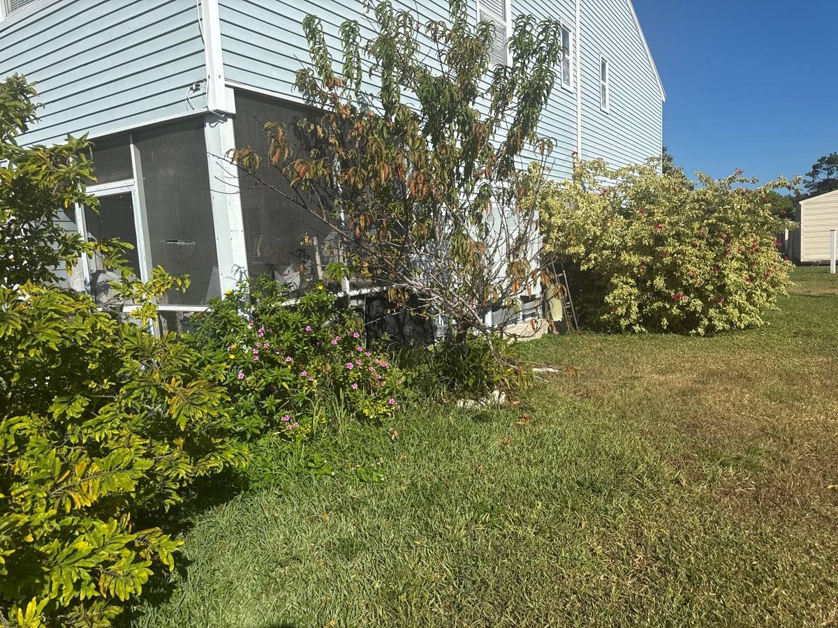 roof repair in Tampa, Florida