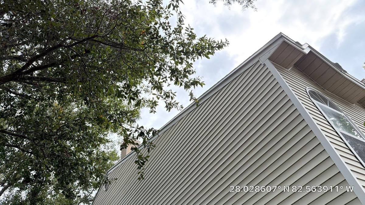 roof repair in Tampa, Florida