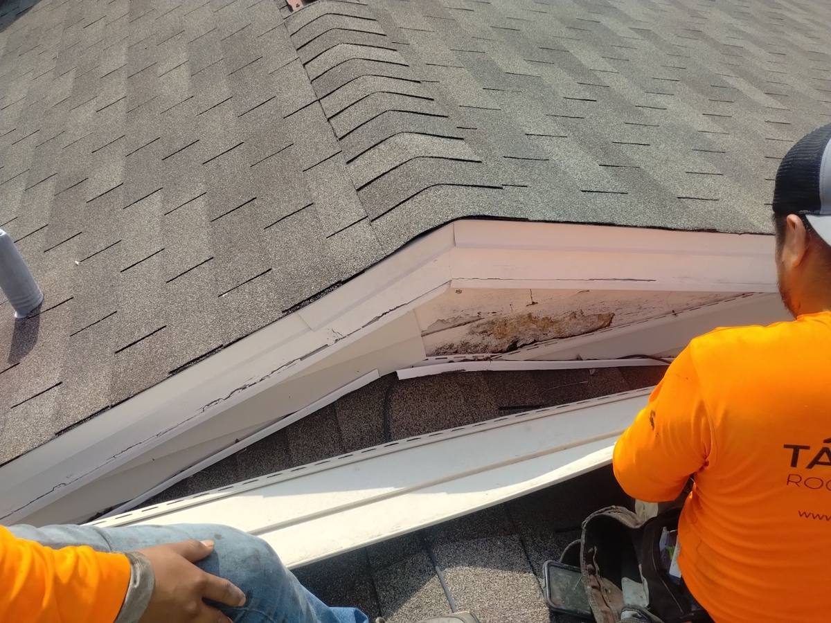 roof repair in Tampa, Florida