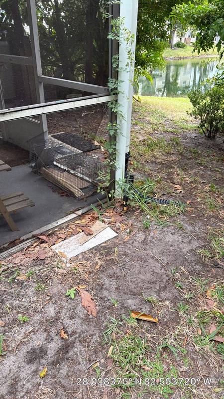 roof repair in Tampa, Florida