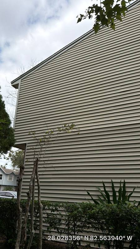 roofing project near Cobbler Place in Tampa
