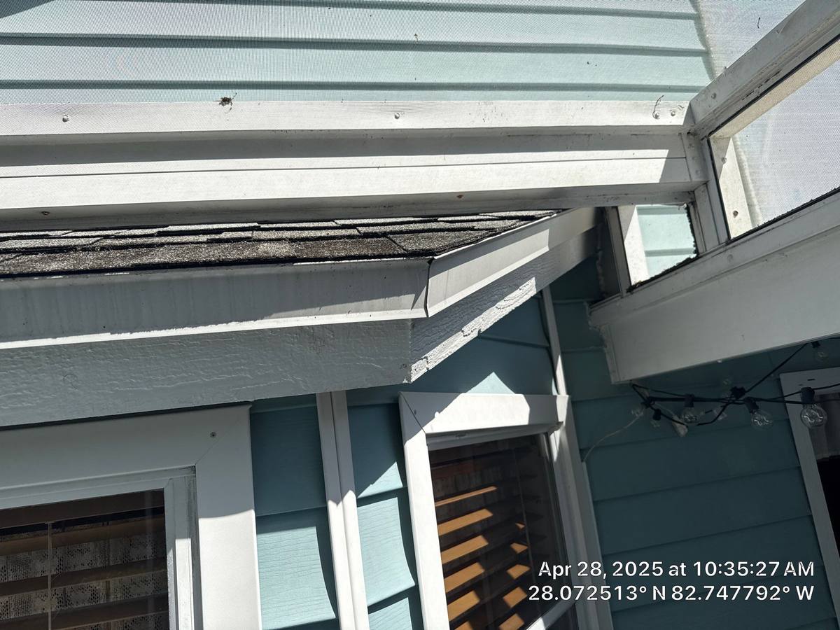 shingle roof replacement in Palm Harbor, Florida