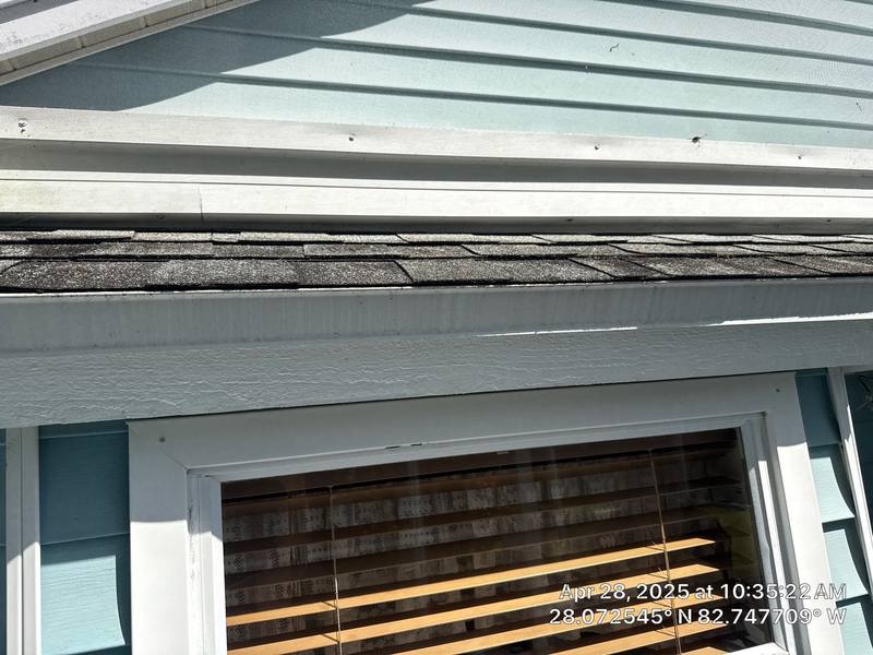 shingle roof replacement in Palm Harbor, Florida