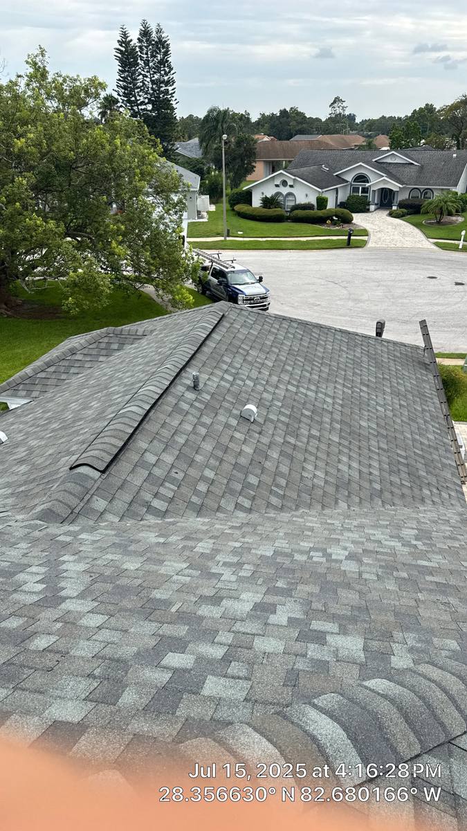 shingle roof replacement in Hudson, Florida