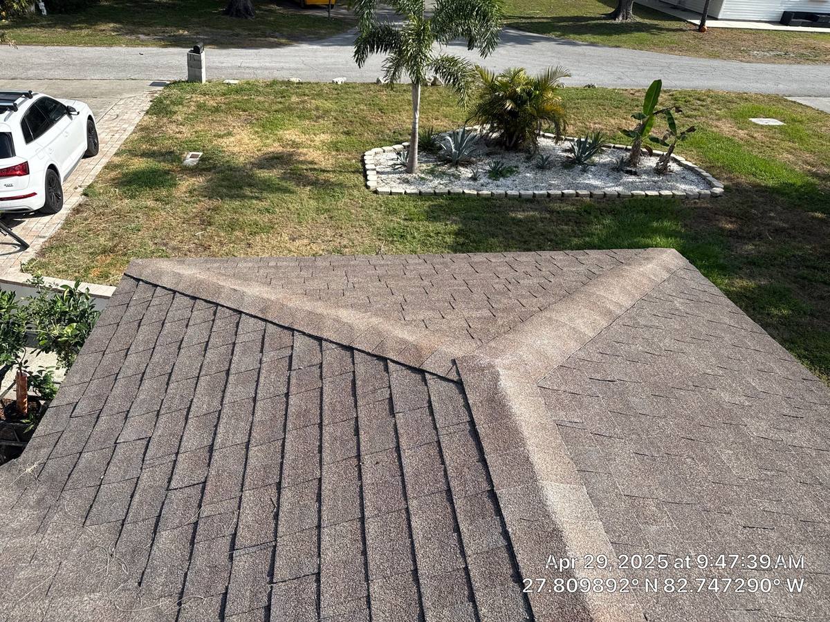 shingle roof replacement in St. Petersburg, Florida