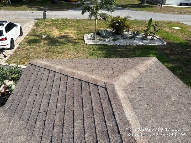 residential shingle roof replacement by Hloska Roofing in St. Petersburg