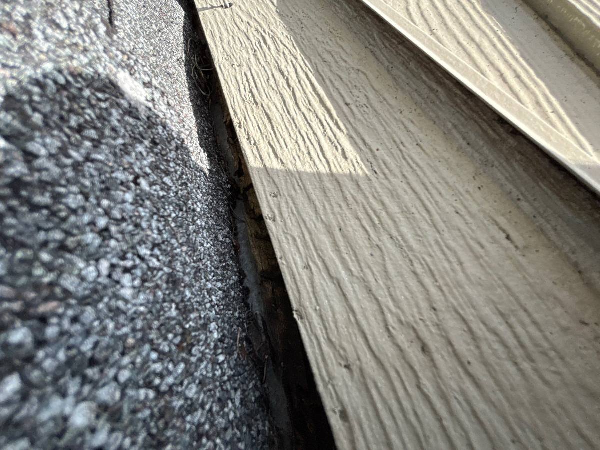 shingle roof replacement in Tampa, Florida