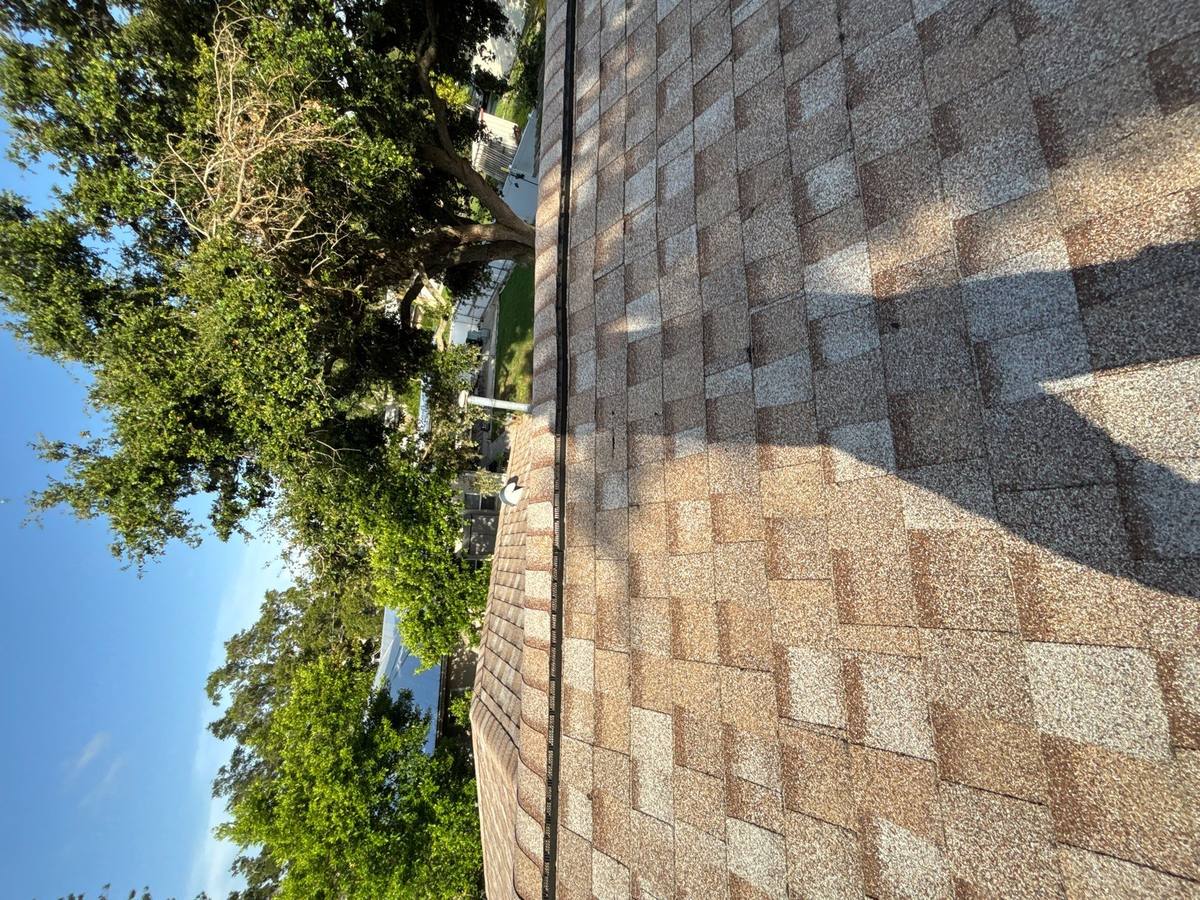 shingle roof replacement in St. Petersburg, Florida
