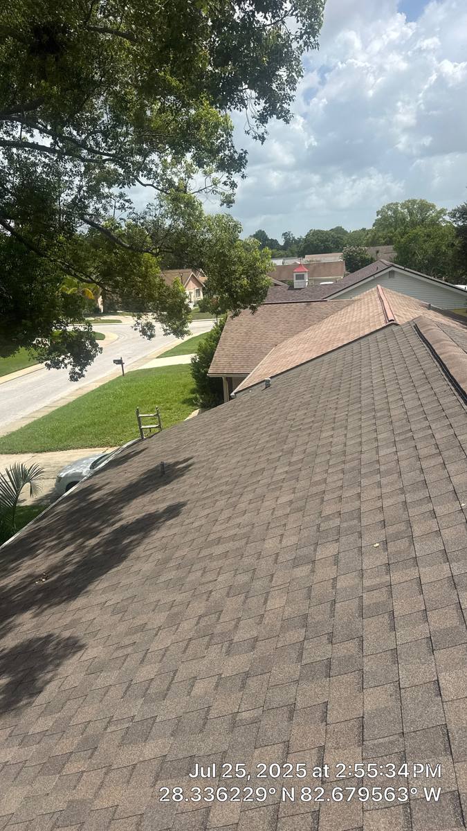 shingle roof replacement in Hudson, Florida
