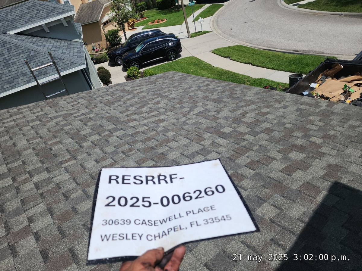 shingle roof replacement in Wesley Chapel, Florida