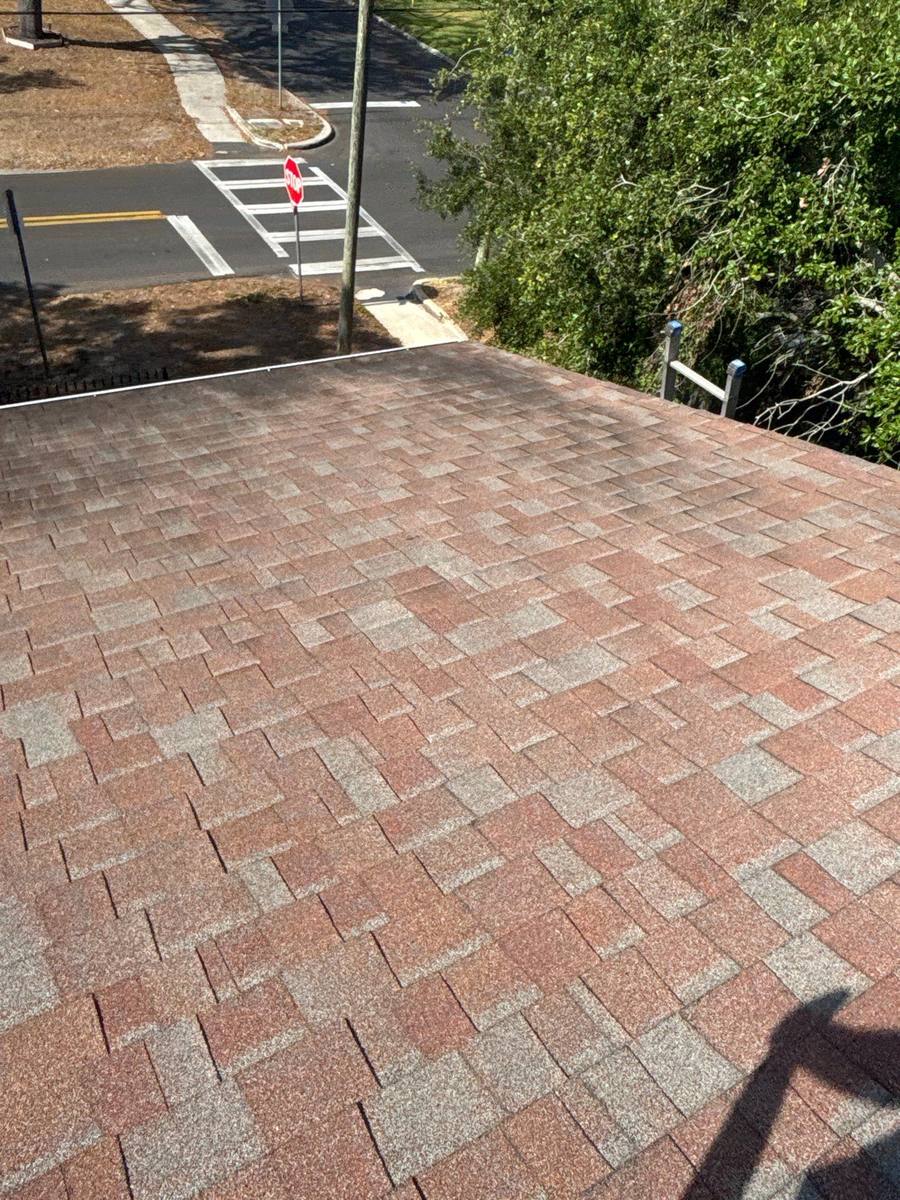 shingle roof replacement in Tampa, Florida