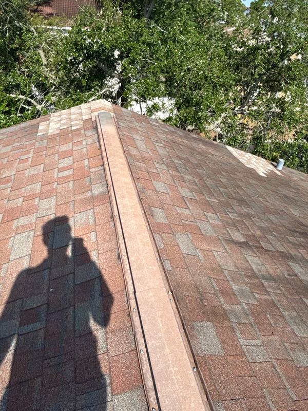 shingle roof replacement in Tampa, Florida