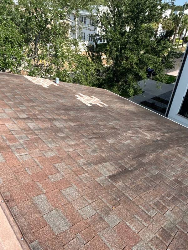 residential shingle roof replacement by Hloska Roofing in Tampa