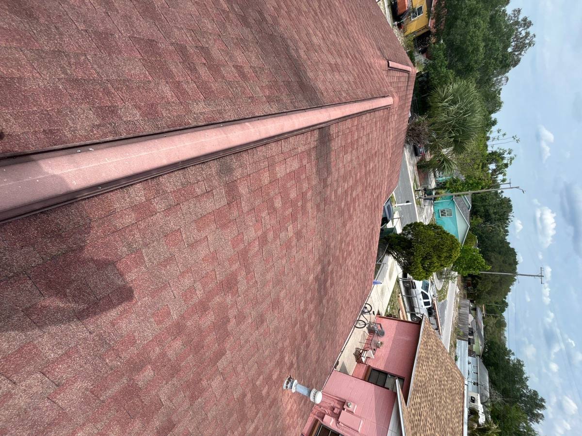 shingle roof replacement in Tampa, Florida