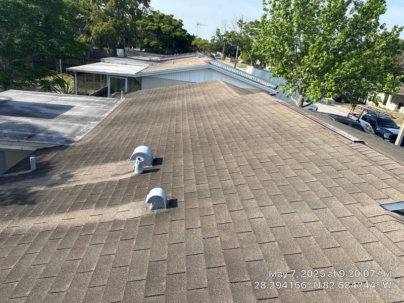 shingle roof replacement in Port Richey, Florida