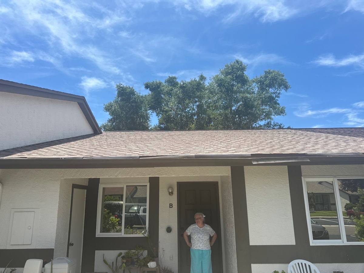 shingle roof replacement in Palm Harbor, Florida