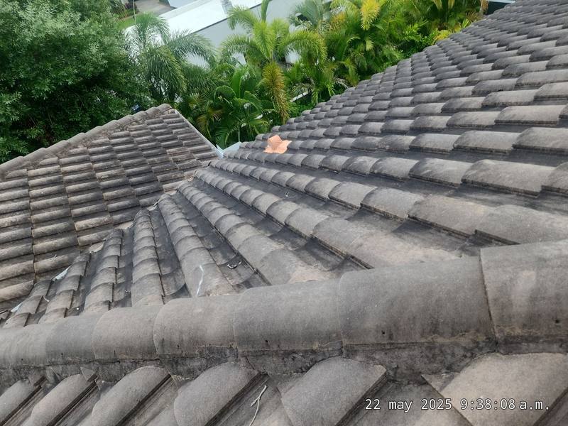 roofing project near West Sand Juan in Tampa
