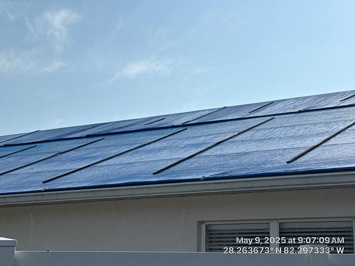 shingle roof replacement in Wesley Chapel, Florida