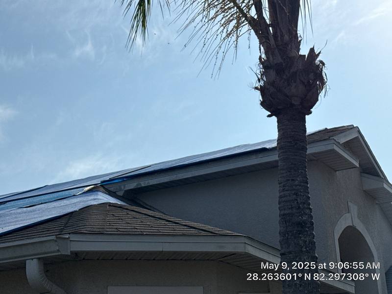 roofing project near Makinaw Lane in Wesley Chapel