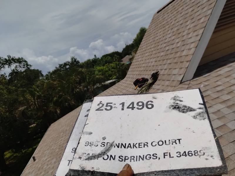 residential shingle roof replacement by Hloska Roofing in Tarpon Springs