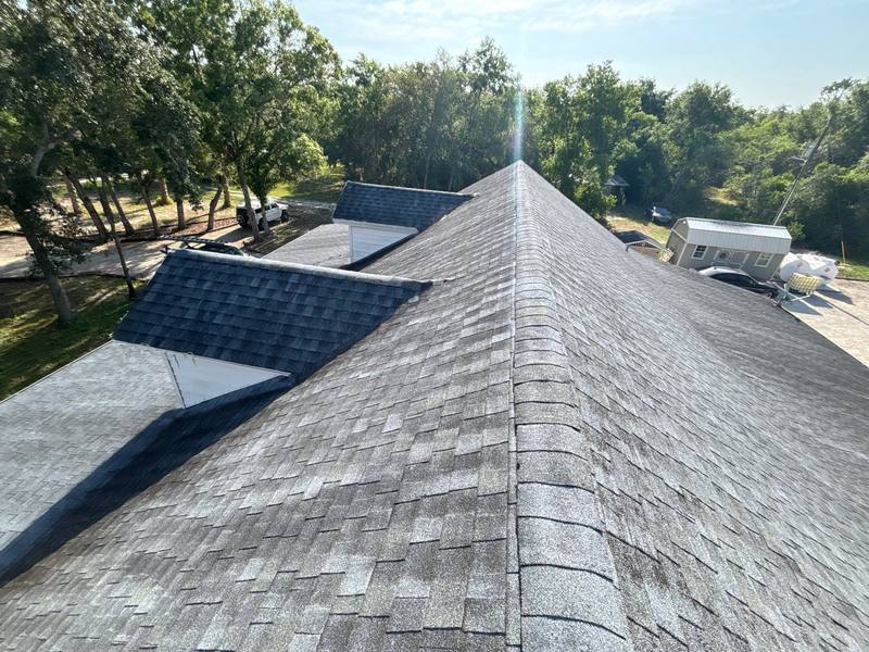 shingle roof replacement in New Port Richey, Florida