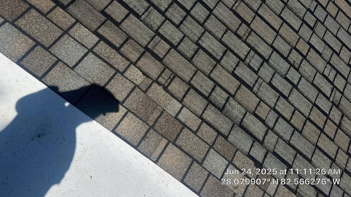 roof replacement in Tampa, Florida