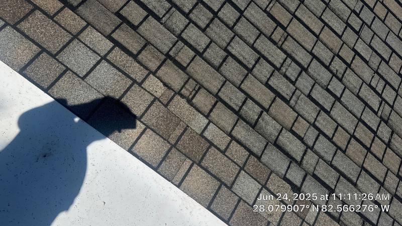 completed roofing project in Tampa FL
