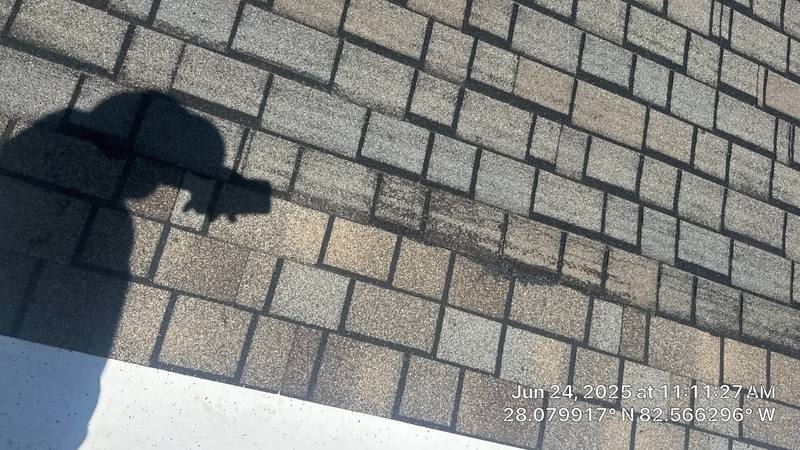 roofing project near Del Valle Road in Tampa