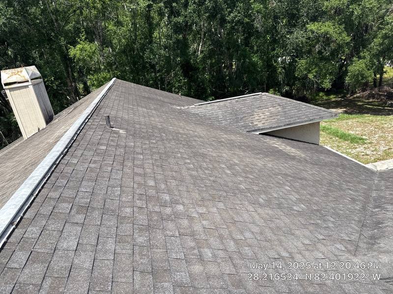 shingle roof replacement in Land O Lakes, Florida