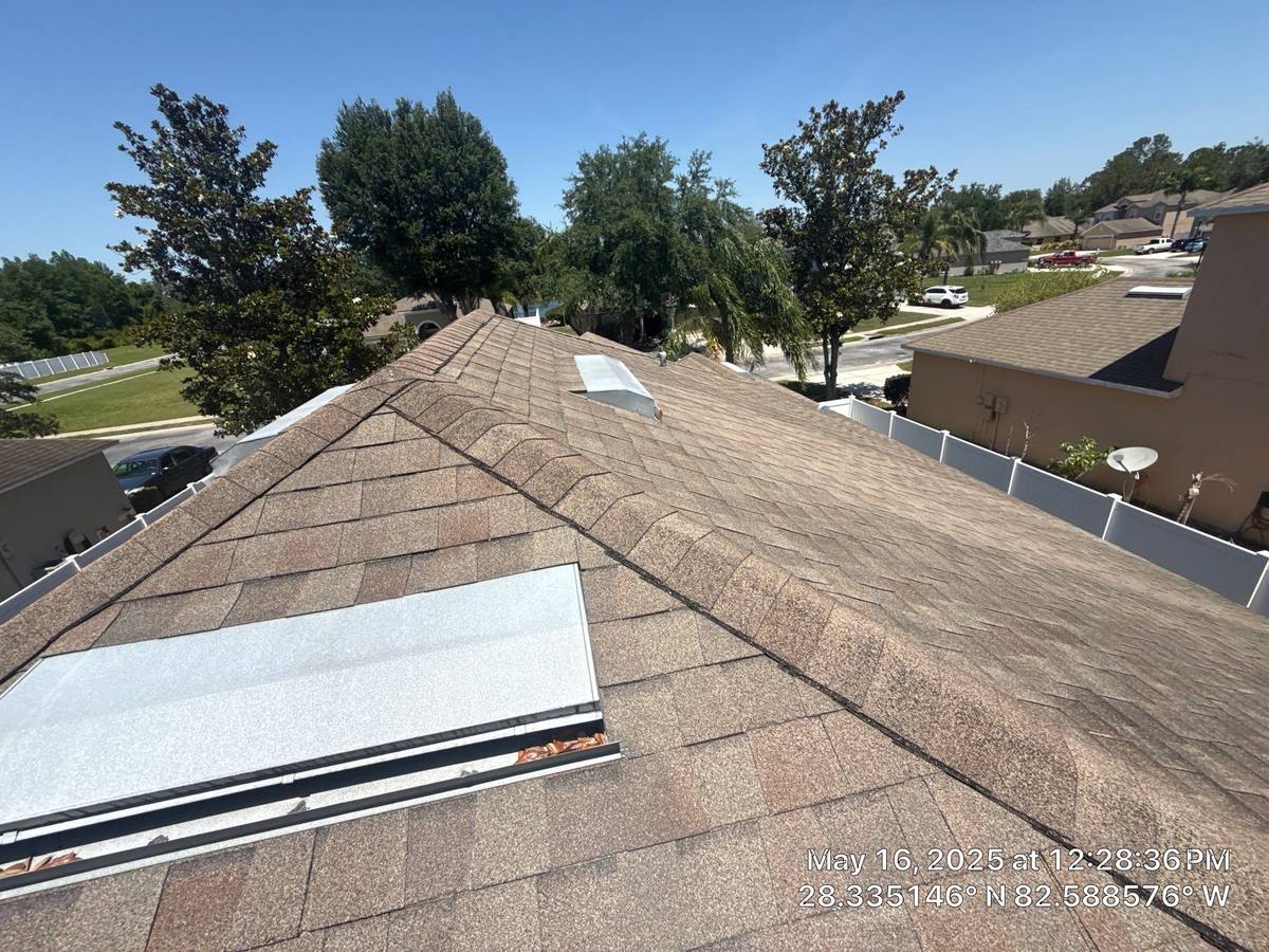 shingle roof replacement in Hudson, Florida