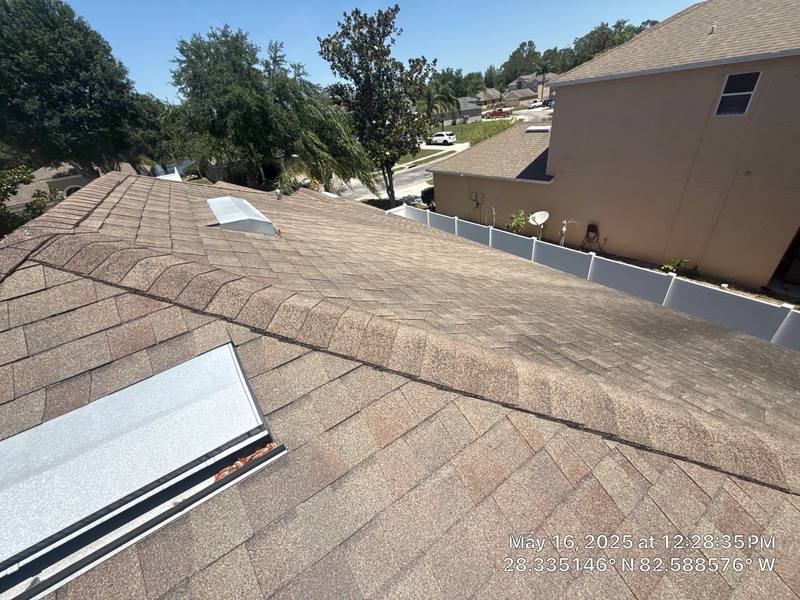 shingle roof replacement in Hudson, Florida