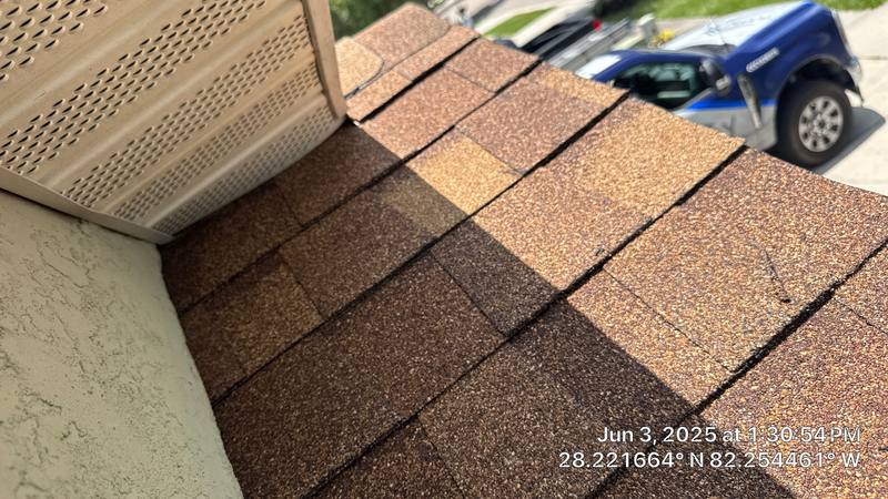 residential shingle roof replacement by Hloska Roofing in Wesley Chapel