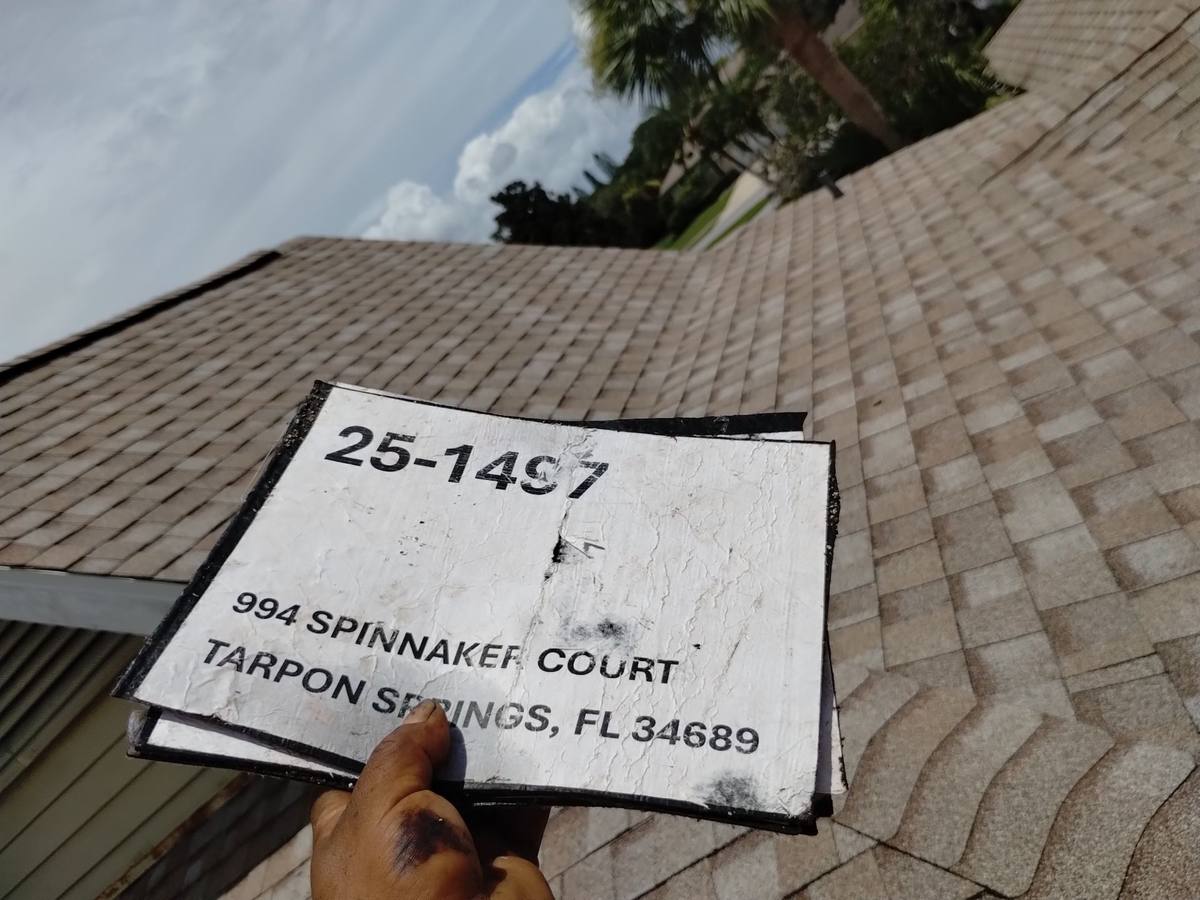 shingle roof replacement in Tarpon Springs, Florida