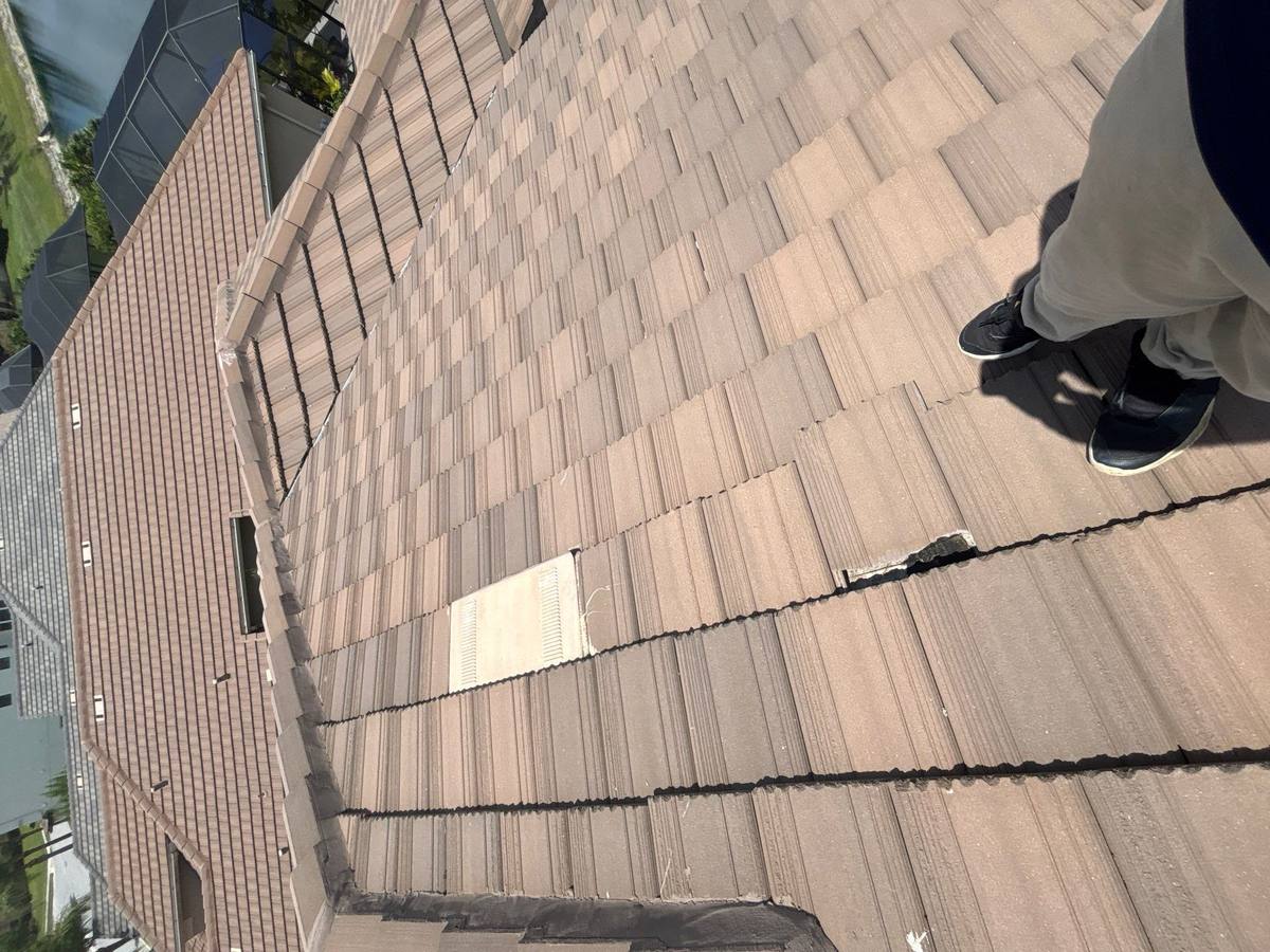 roof repair in Wesley Chapel, Florida