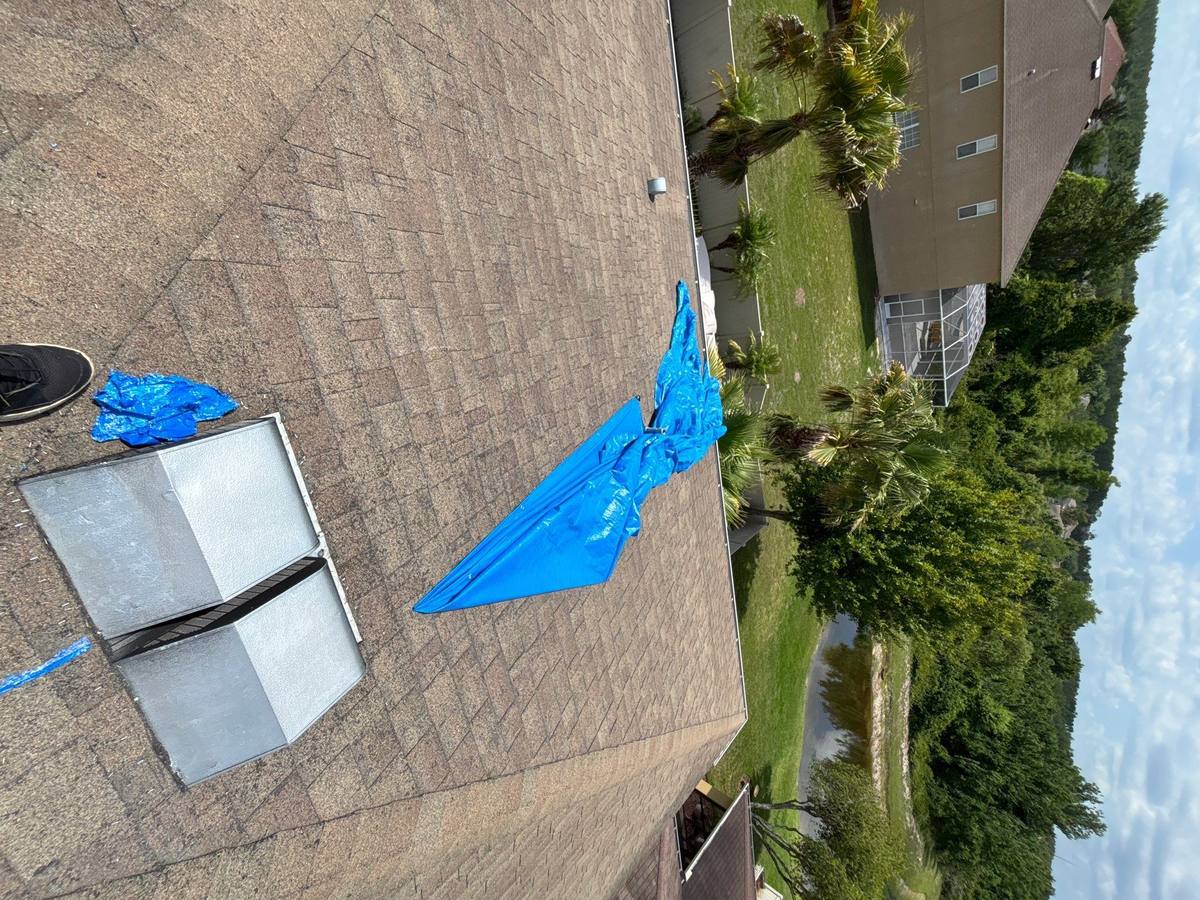 shingle roof replacement in Land O Lakes, Florida