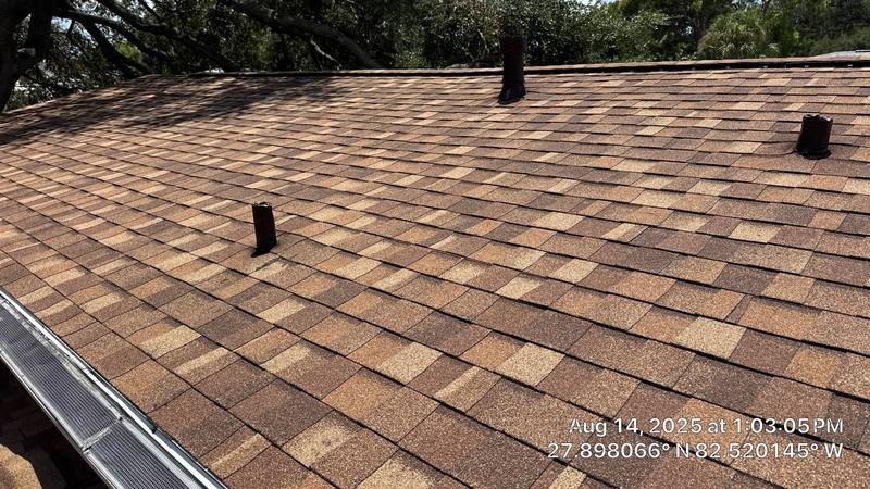 residential shingle roof replacement by Hloska Roofing in Tampa
