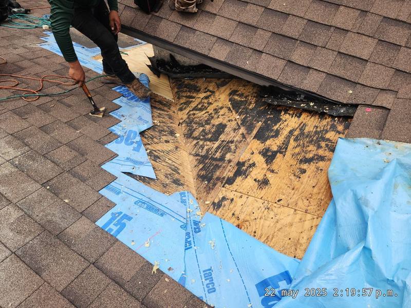 residential roof repair by Hloska Roofing in Brooksville